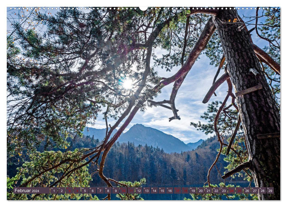 Les arbres... sont des poèmes que la terre écrit dans le ciel. Khali Gibran (Calvendo Premium Calendrier mural 2024) 
