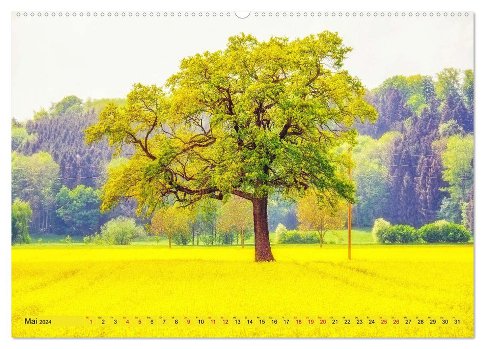 Les arbres... sont des poèmes que la terre écrit dans le ciel. Khali Gibran (Calvendo Premium Calendrier mural 2024) 