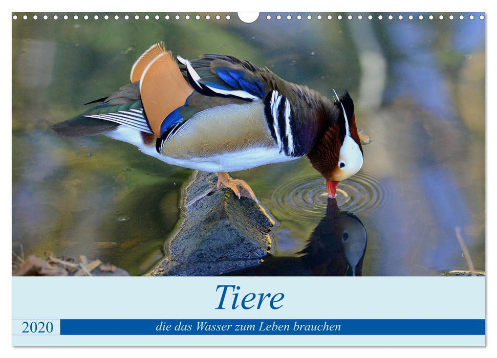 Animals that need water to live. (CALVENDO wall calendar 2024) 