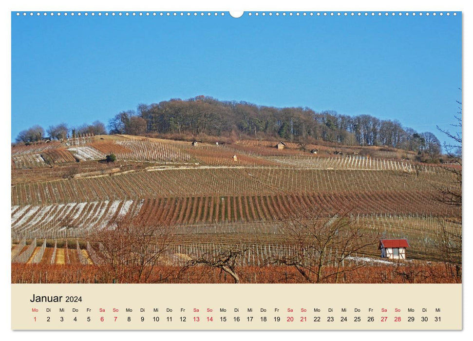 Castles, wine and half-timbered buildings along the mountain road (CALVENDO wall calendar 2024) 