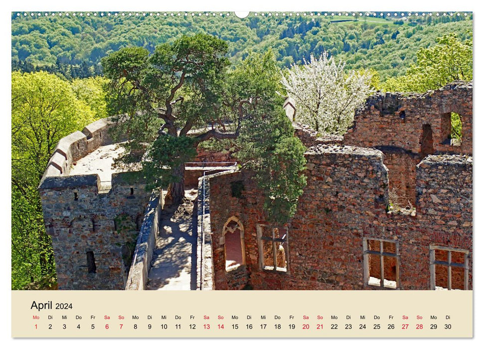 Castles, wine and half-timbered buildings along the mountain road (CALVENDO wall calendar 2024) 