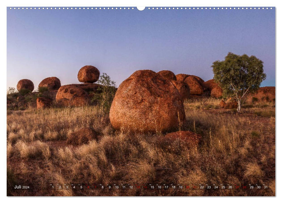 Das wilde Australien (CALVENDO Premium Wandkalender 2024)