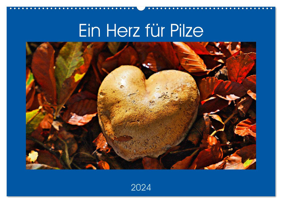 Ein Herz für Pilze (CALVENDO Wandkalender 2024)