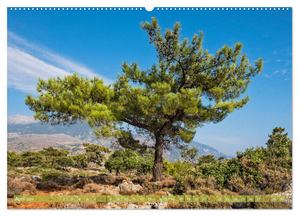 Kreta entdecken (CALVENDO Wandkalender 2024)