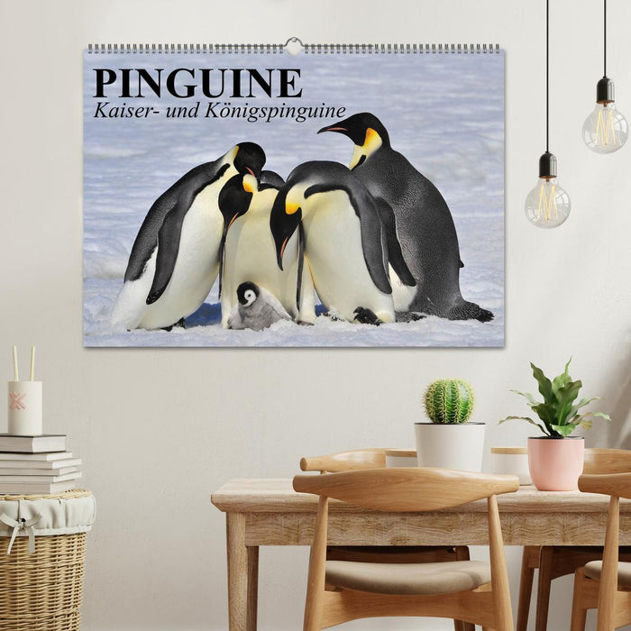 Pinguine - Kaiser- und Königspinguine (CALVENDO Wandkalender 2024)