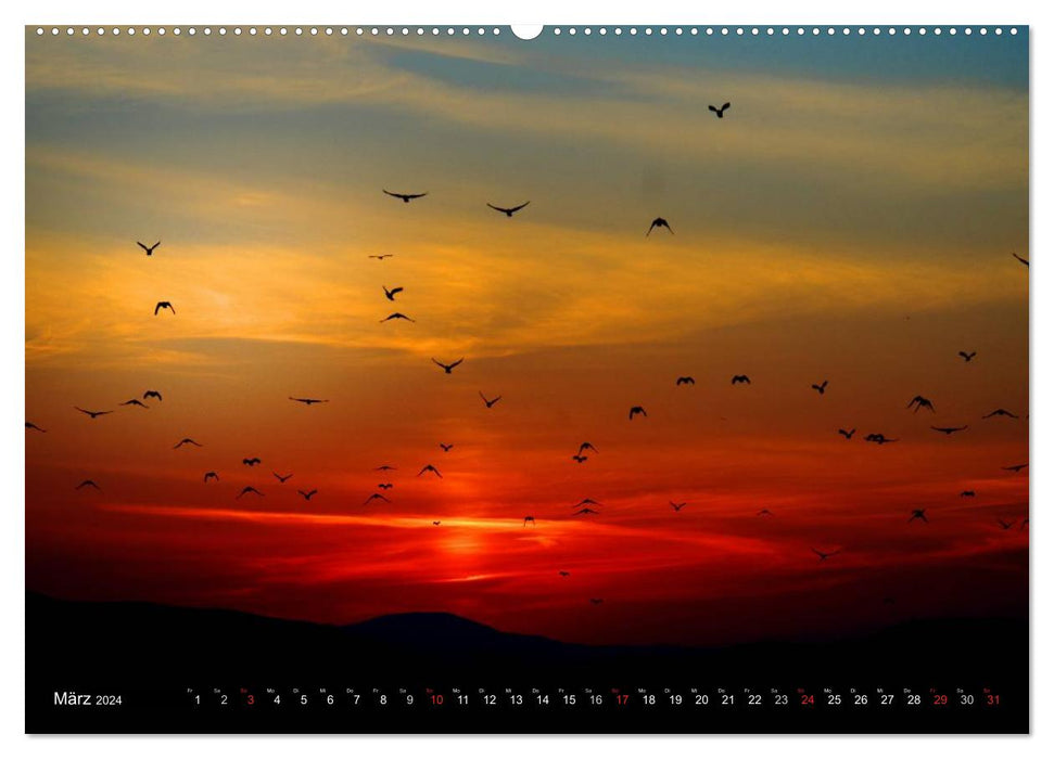 Sonnenuntergänge • Traumhafte Farbspiele (CALVENDO Wandkalender 2024)