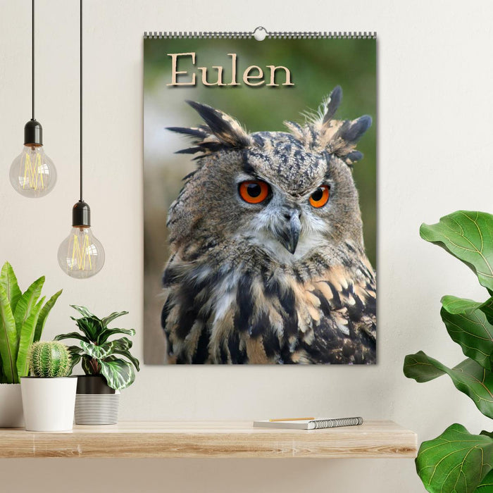 Eulen / CH-Version (CALVENDO Wandkalender 2024)