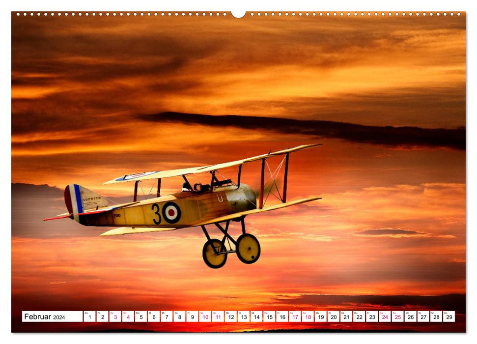 Modellflug in Szene gesetzt (CALVENDO Premium Wandkalender 2024)