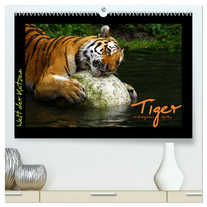 Welt der Katzen - Tiger (CALVENDO Premium Wandkalender 2024)