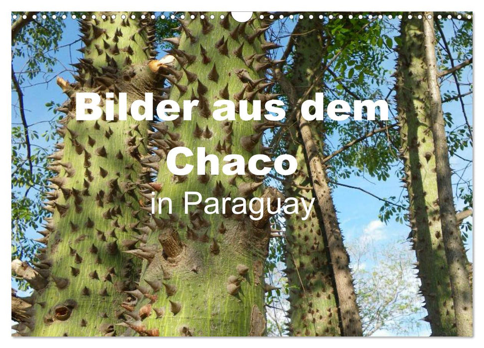 Bilder aus dem Chaco in Paraguay (CALVENDO Wandkalender 2024)