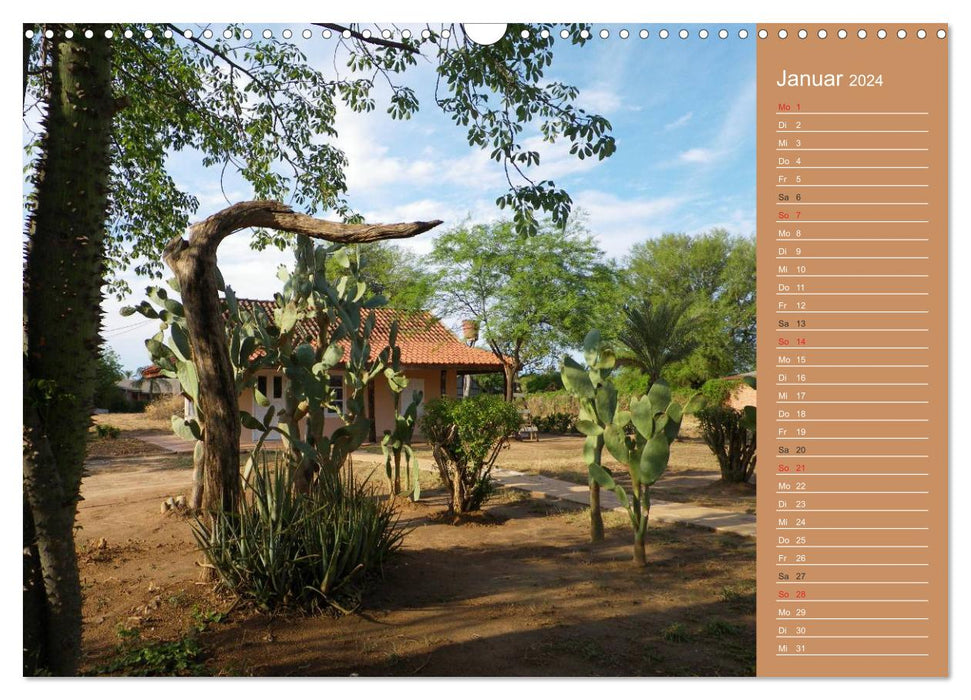 Bilder aus dem Chaco in Paraguay (CALVENDO Wandkalender 2024)