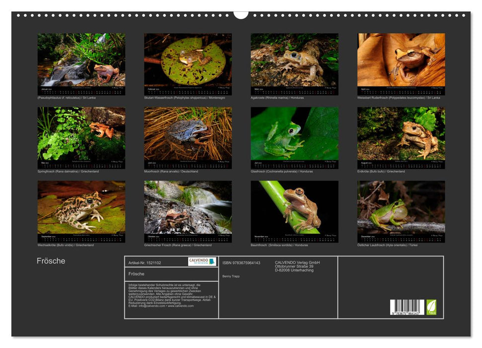 Frösche (CALVENDO Wandkalender 2024)