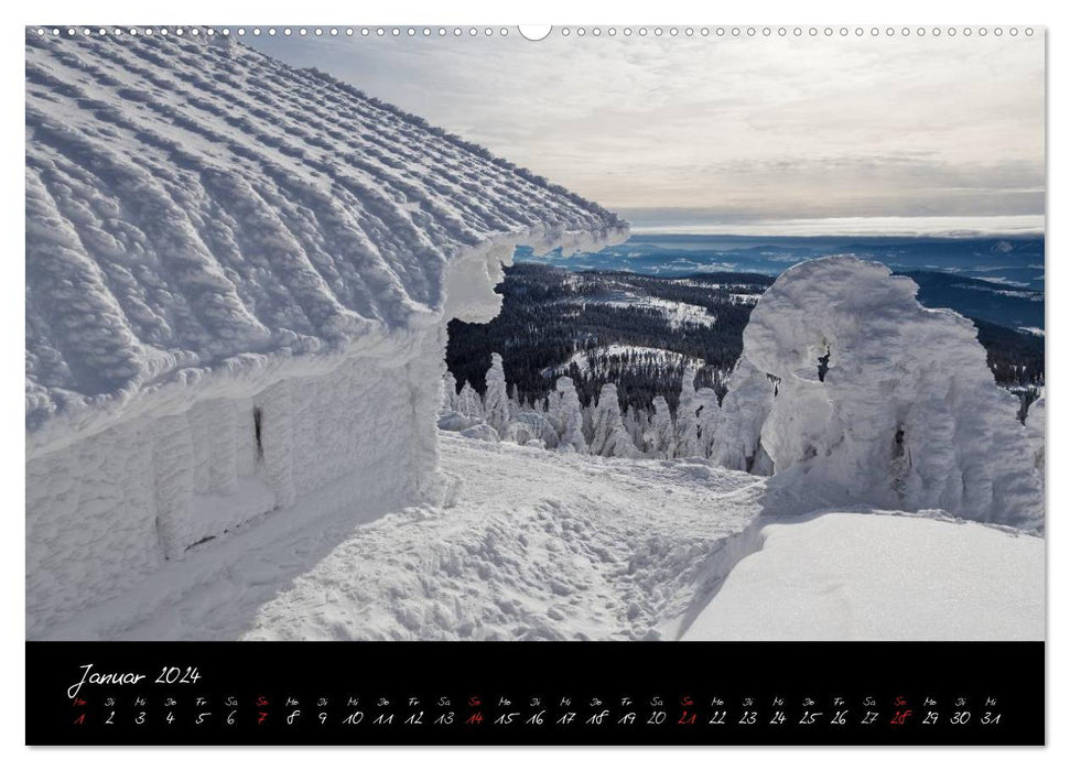 Bayerischer Wald (CALVENDO Wandkalender 2024)