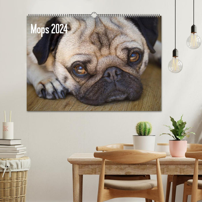 Mops 2024 (CALVENDO Wandkalender 2024)