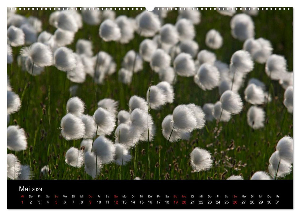 Sibirien- Impressionen von der Lena (CALVENDO Wandkalender 2024)