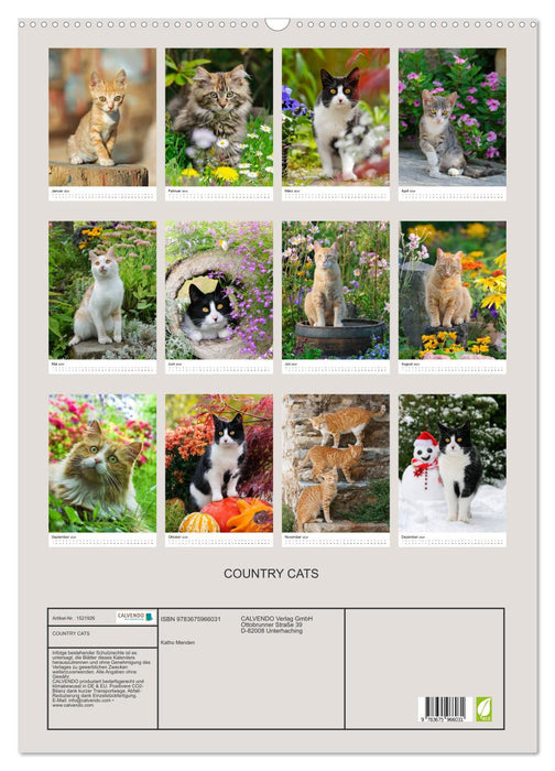 COUNTRY CATS (CALVENDO Wandkalender 2024)