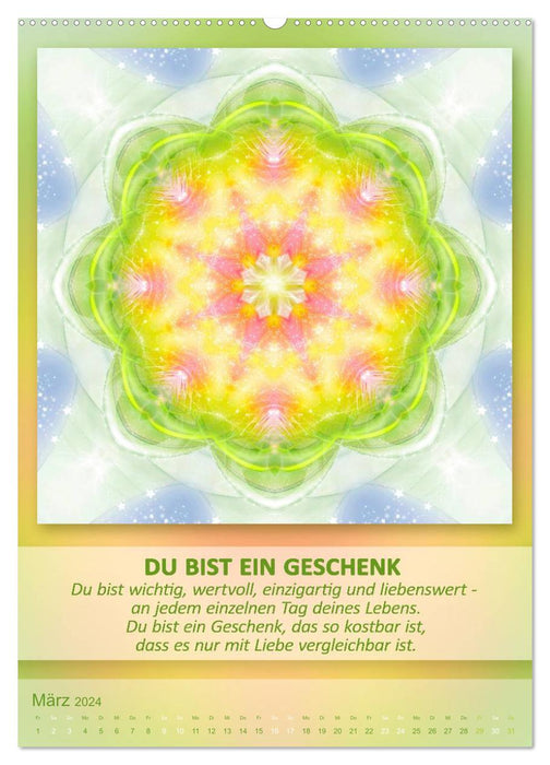 Light Energy Mandalas - Kalender - Vol. 1 (CALVENDO Wandkalender 2024)