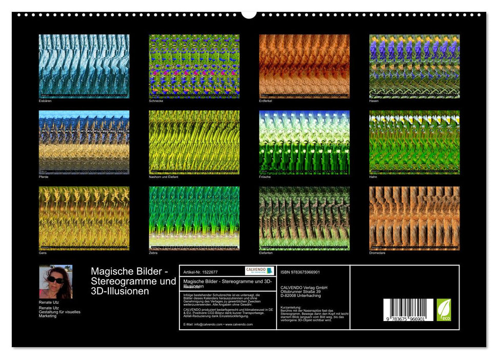 Magische Bilder - Stereogramme und 3D-Illusionen (CALVENDO Premium Wandkalender 2024)