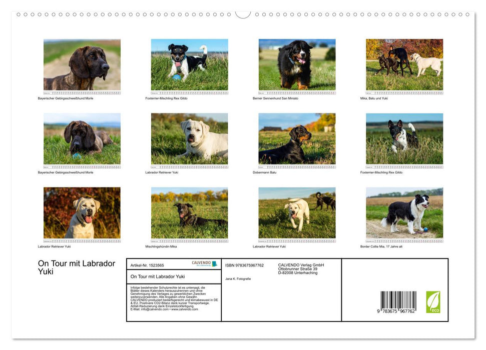 On Tour mit Labrador Yuki (CALVENDO Premium Wandkalender 2024)