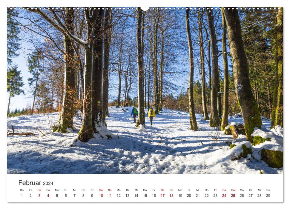 Westfeld-Ohlenbach - zwei idyllische Orte im Sauerland (CALVENDO Premium Wandkalender 2024)