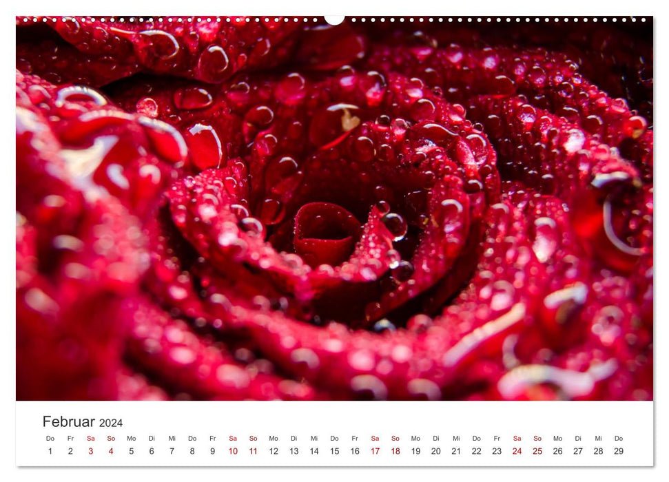 Die magische Welt der Blumen (CALVENDO Premium Wandkalender 2024)