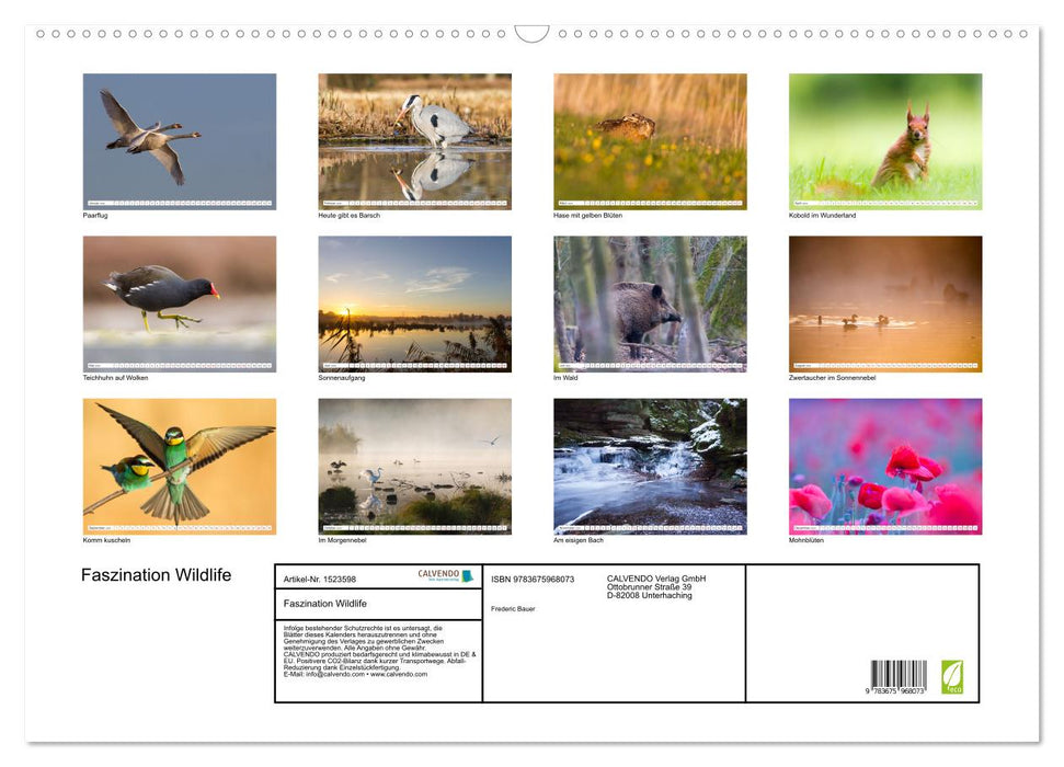 Faszination Wildlife (CALVENDO Wandkalender 2024)