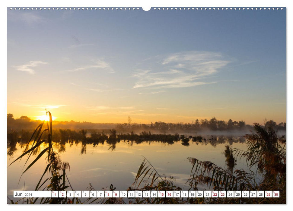 Faszination Wildlife (CALVENDO Wandkalender 2024)