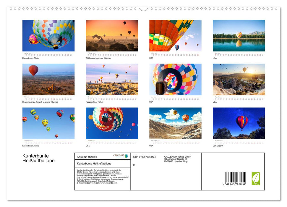 Colorful hot air balloons (CALVENDO Premium Wall Calendar 2024) 