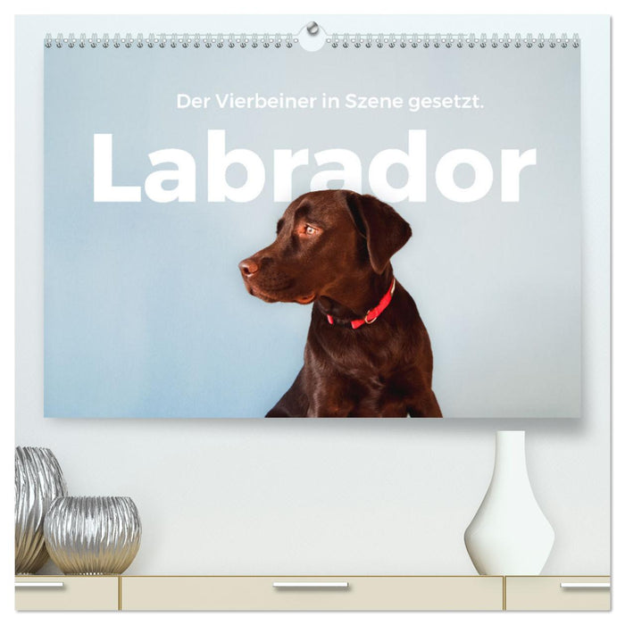 Labrador - The four-legged friend in the spotlight. (CALVENDO Premium Wall Calendar 2024) 