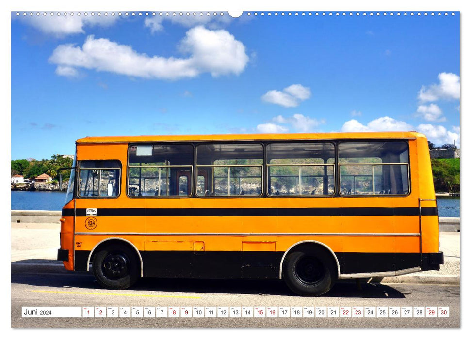 Autobus Diana - Kubas ganzer Stolz (CALVENDO Wandkalender 2024)