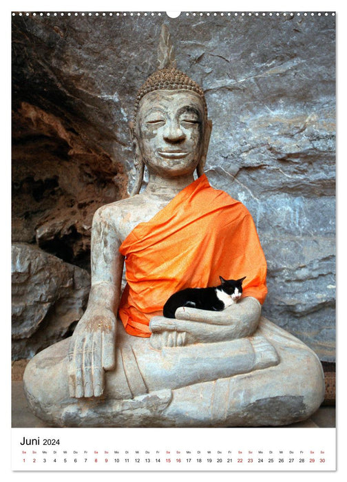 Buddhas im Glück (CALVENDO Premium Wandkalender 2024)