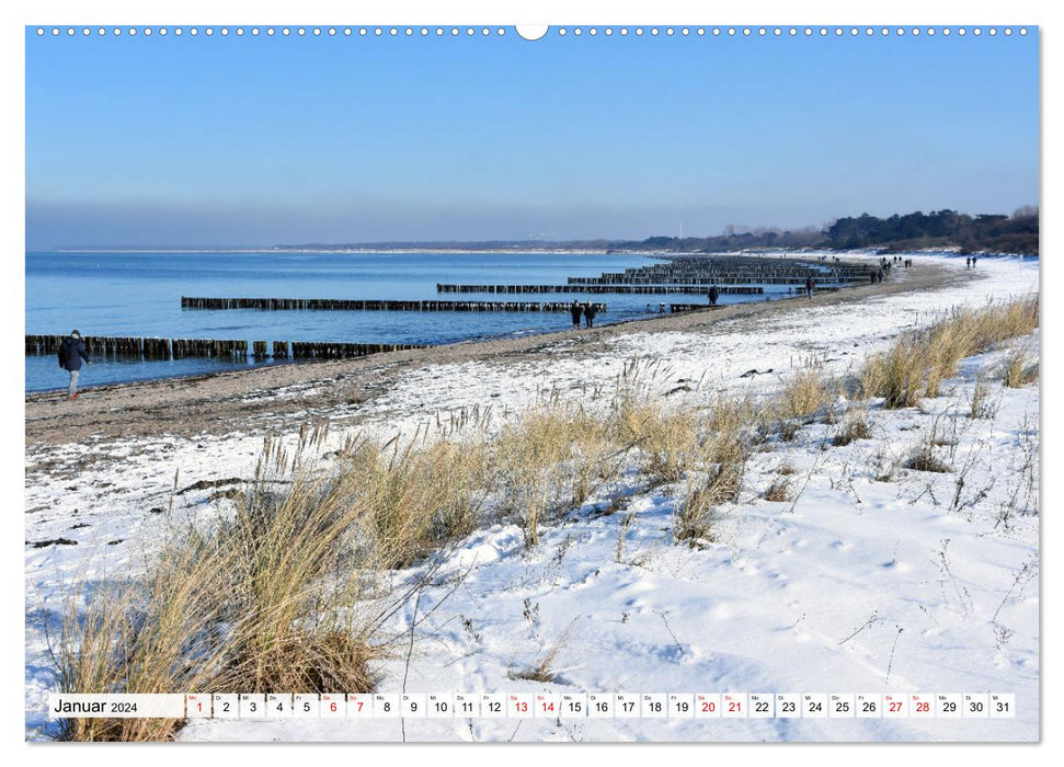 WARNEMÜNDE, eine Perle an der Ostsee (CALVENDO Premium Wandkalender 2024)