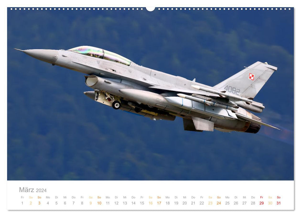 VIPER ACTION - F-16 FIGHTING FALCON (CALVENDO Wandkalender 2024)