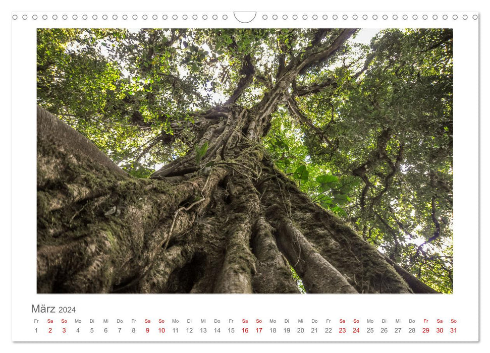Costa Rica - unterwegs mit Julia Hahn (CALVENDO Wandkalender 2024)