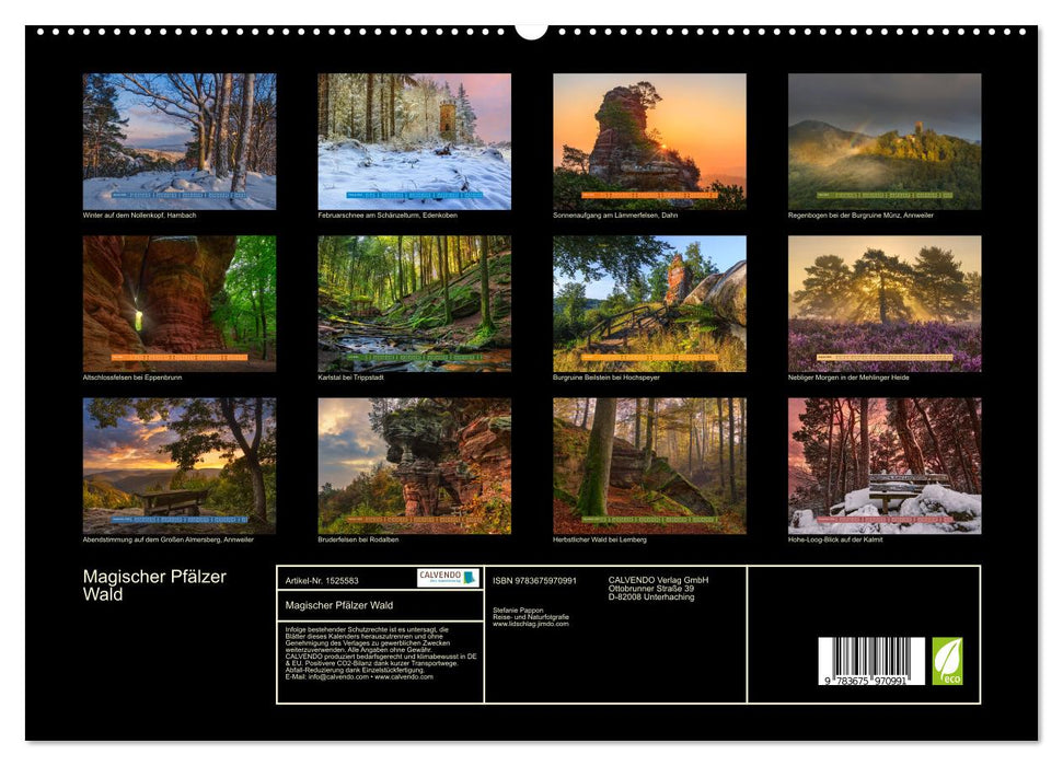 Magischer Pfälzer Wald (CALVENDO Premium Wandkalender 2024)