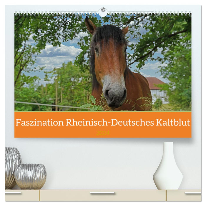 Faszination Rheinisch-Deutsches Kaltblut (CALVENDO Premium Wandkalender 2024)