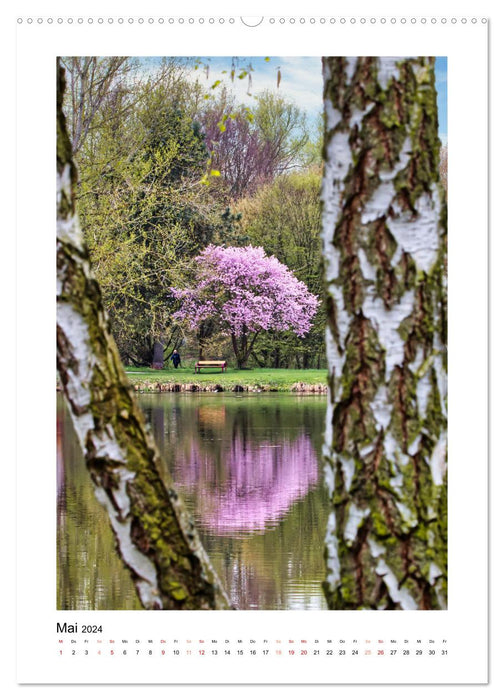 Mon Steinertsee (calendrier mural CALVENDO 2024) 