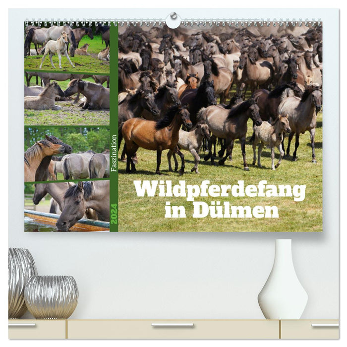 La fascination d'attraper des chevaux sauvages à Dülmen (Calendrier mural CALVENDO Premium 2024) 