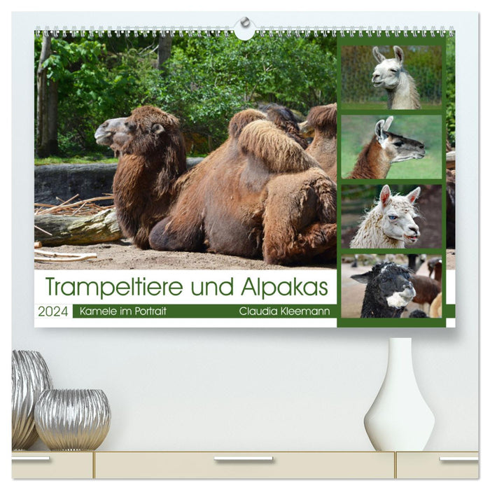 Trampeltiere und Alpakas (CALVENDO Premium Wandkalender 2024)