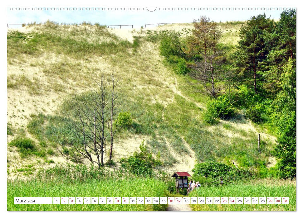 Heile Welt pur - Naturparadies Kurisches Haff (CALVENDO Wandkalender 2024)