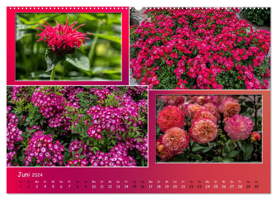 Erfurt is in bloom (CALVENDO Premium Wall Calendar 2024) 