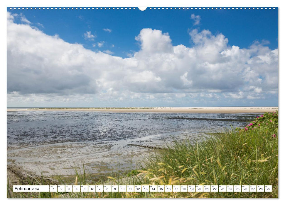 Amrum - Perle im nordfriesischen Wattenmeer (CALVENDO Wandkalender 2024)