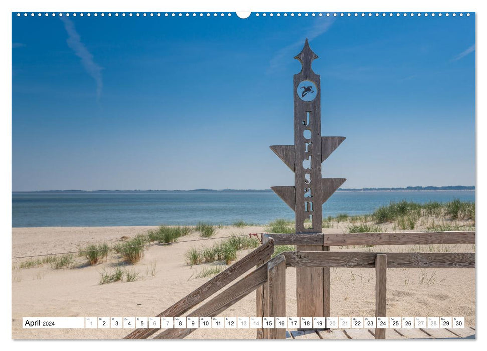 Amrum - perle de la mer des Wadden de la Frise septentrionale (calendrier mural CALVENDO 2024) 