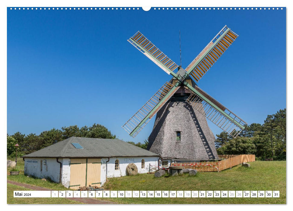 Amrum - perle de la mer des Wadden de la Frise septentrionale (calendrier mural CALVENDO 2024) 