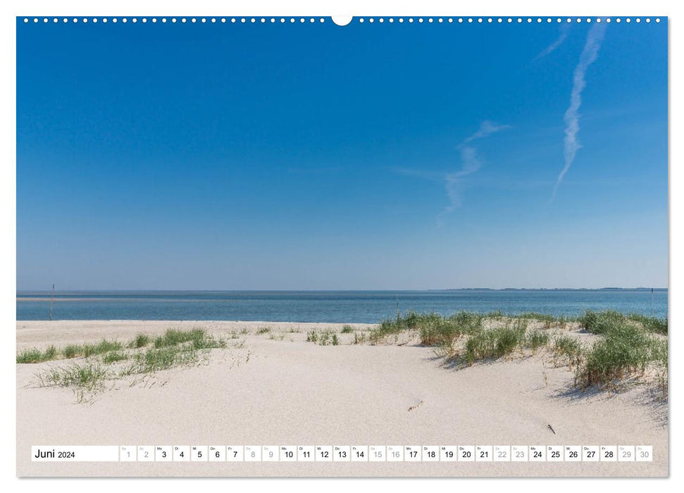 Amrum - perle de la mer des Wadden de la Frise septentrionale (calendrier mural CALVENDO 2024) 