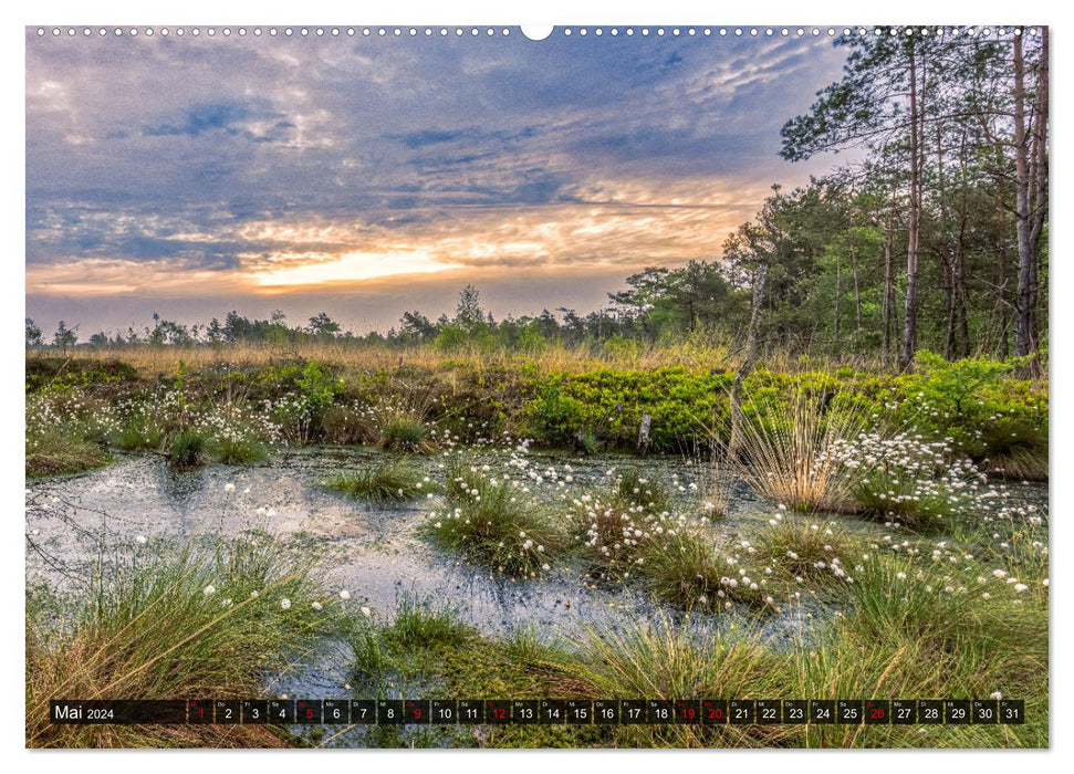 The Lüneburg Heath - Fascination of a natural landscape (CALVENDO Premium Wall Calendar 2024) 