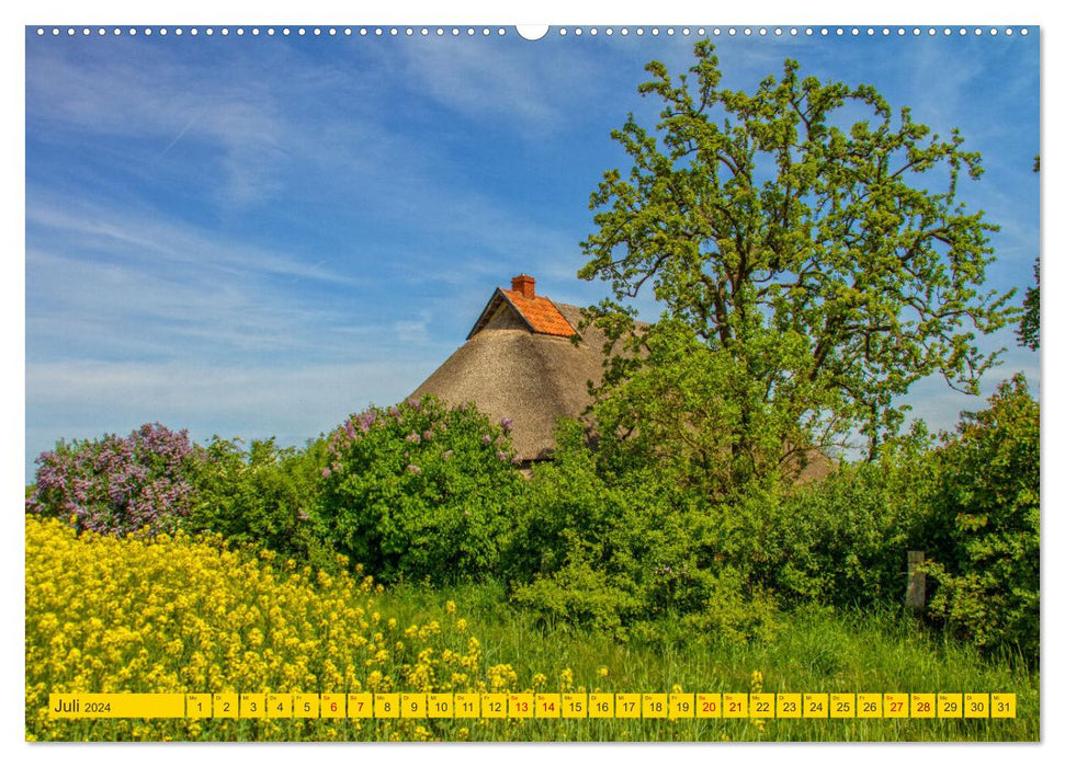 Reetdachhäuser in Hoben - Ein Maitag in der Wismarbucht (CALVENDO Premium Wandkalender 2024)