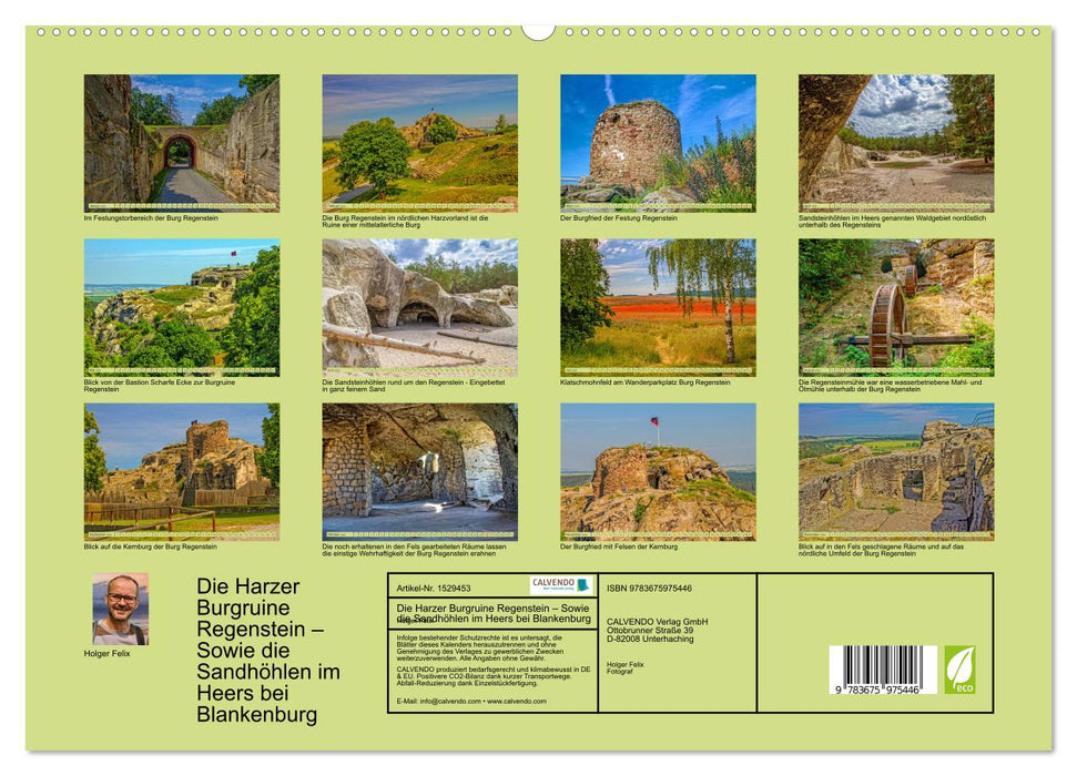 Les ruines du château de Regenstein dans le Harz - ainsi que les grottes de sable de Heers près de Blankenburg (Calendrier mural CALVENDO Premium 2024) 