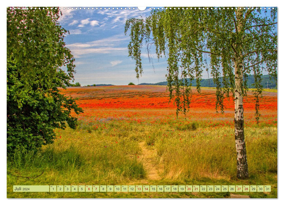 Les ruines du château de Regenstein dans le Harz - ainsi que les grottes de sable de Heers près de Blankenburg (Calendrier mural CALVENDO Premium 2024) 