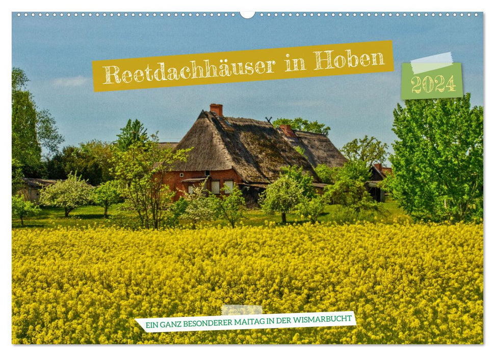 Maisons au toit de chaume à Hoben - Un jour de mai dans la baie de Wismar (calendrier mural CALVENDO 2024) 